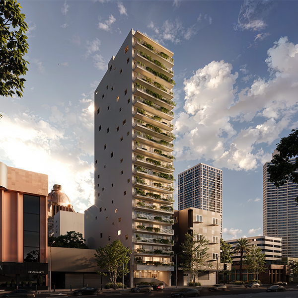 Lirio Reforma
